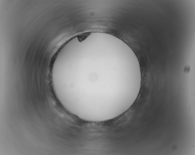 X0000113760338200910211214