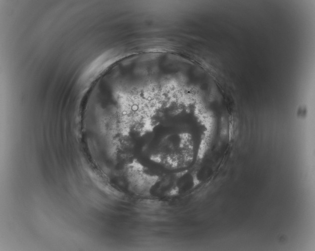 X0000113760339200910211214