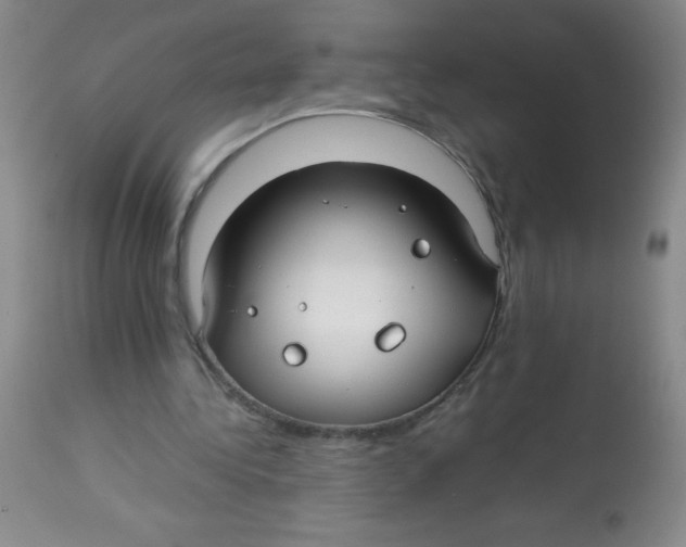 X0000113760340200910211214