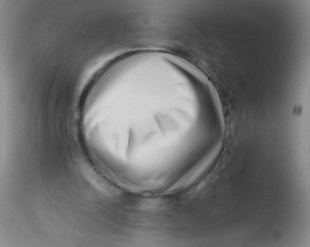 X0000113760342200910211214