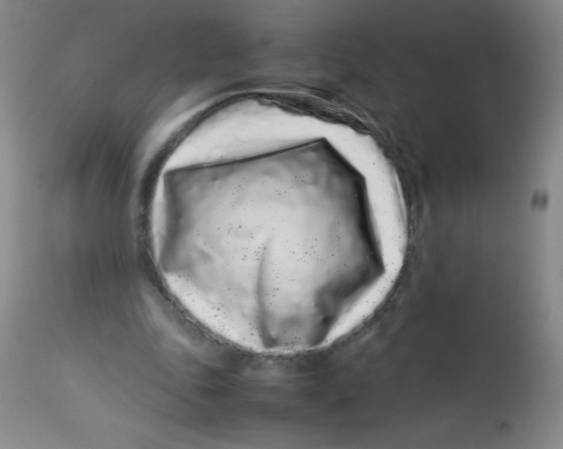 X0000113760343200910211214