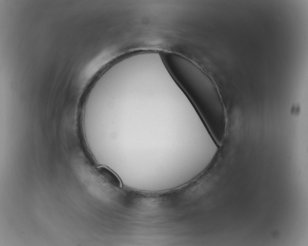 X0000113760344200910211214