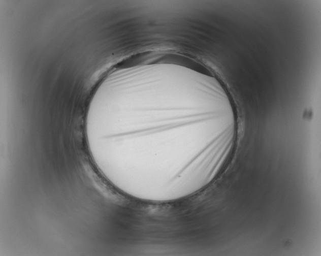 X0000113760345200910211214