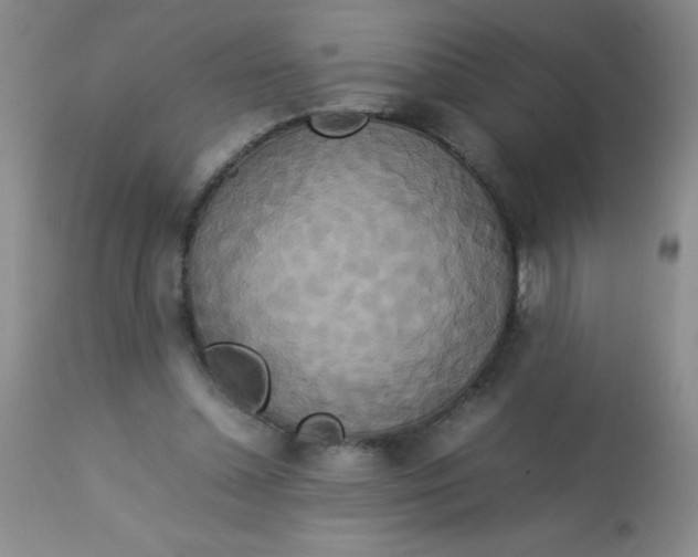 X0000113760348200910211214