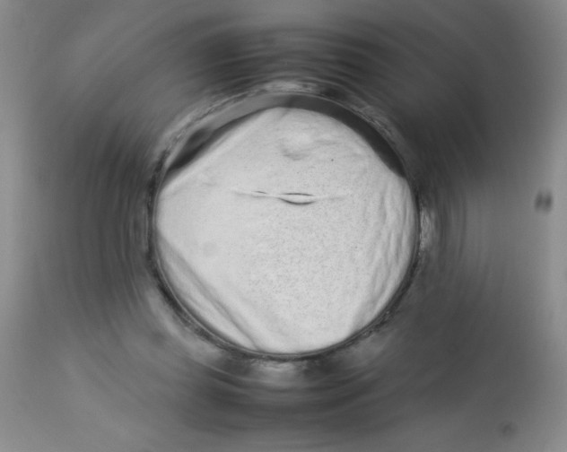 X0000113760349200910211214