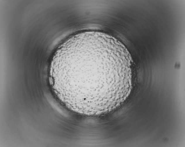 X0000113760350200910211214