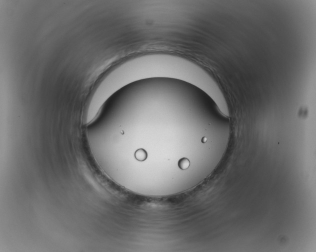 X0000113760352200910211214