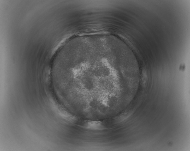X0000113760355200910211214