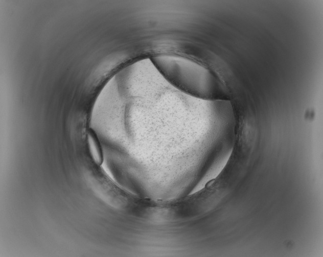 X0000113760356200910211214