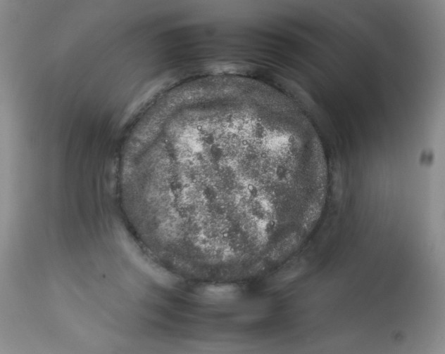 X0000113760357200910211214