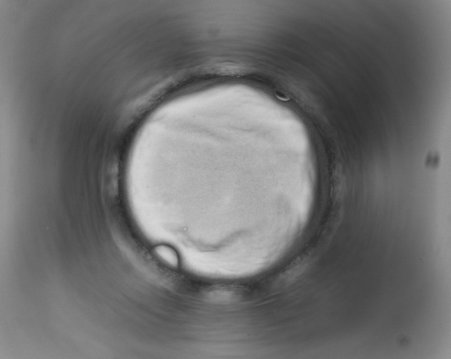 X0000113760358200910211214