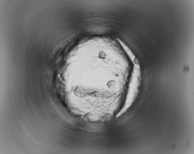 X0000113760359200910211214