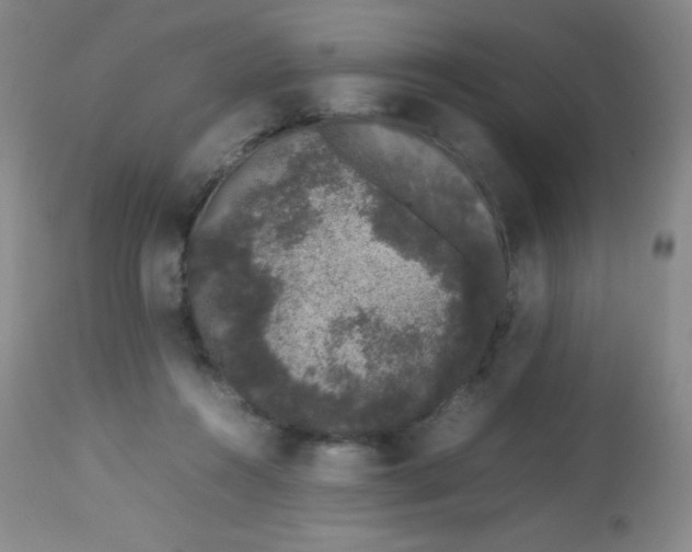 X0000113760360200910211214