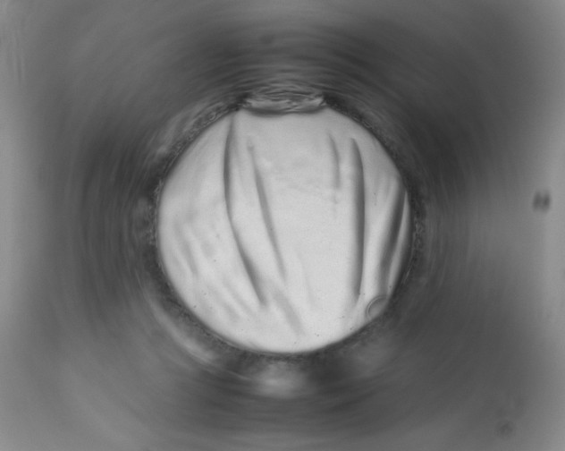 X0000113760361200910211214