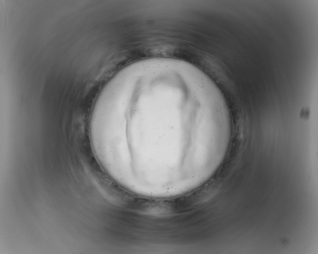 X0000113760363200910211215