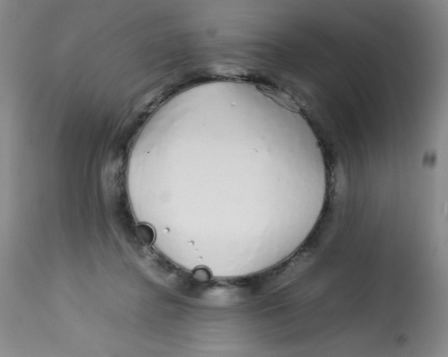 X0000113760364200910211215
