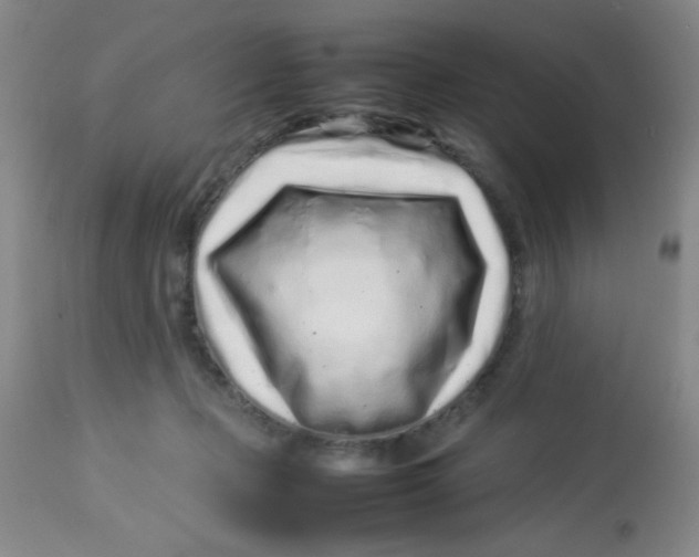 X0000113760365200910211215
