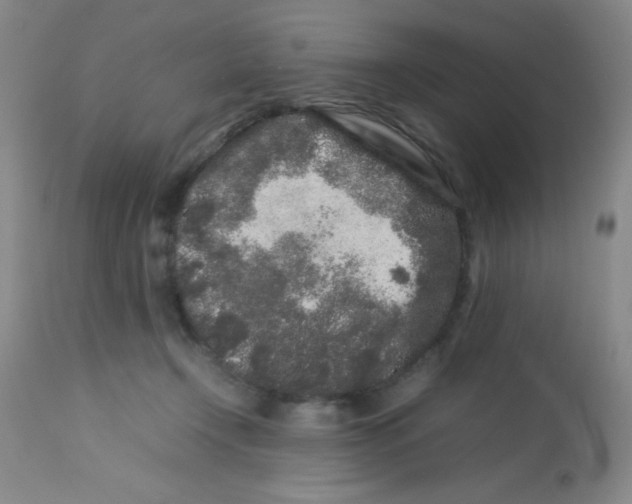 X0000113760366200910211215