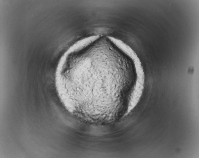 X0000113760367200910211215