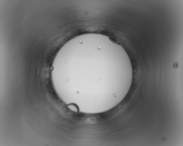 X0000113760368200910211215
