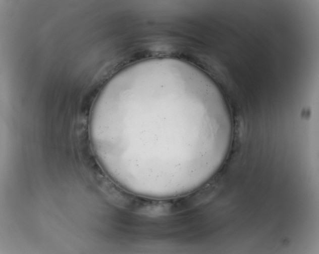 X0000113760369200910211215