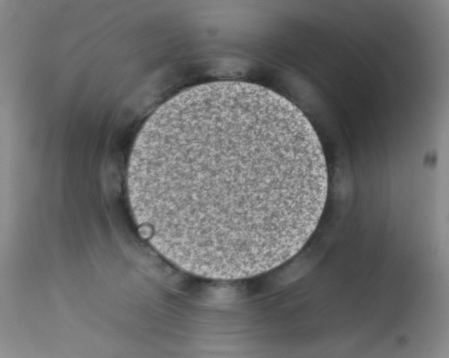 X0000113760370200910211215