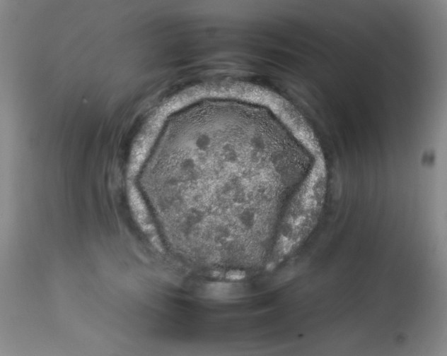 X0000113760371200910211215
