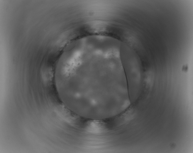 X0000113760372200910211215