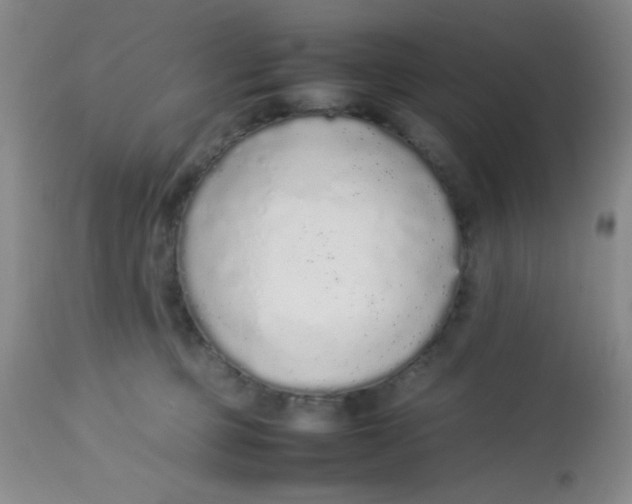 X0000113760373200910211215