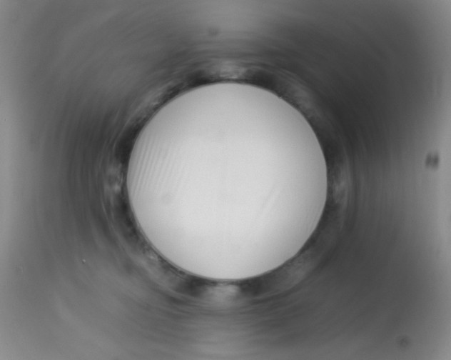 X0000113760374200910211215