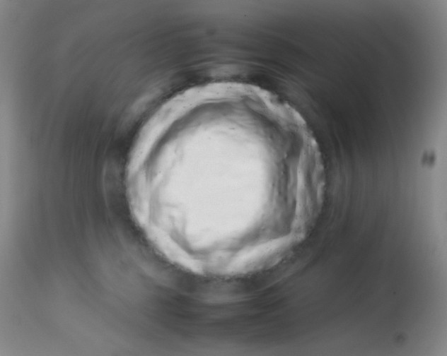 X0000113760375200910211215