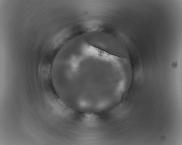 X0000113760376200910211215