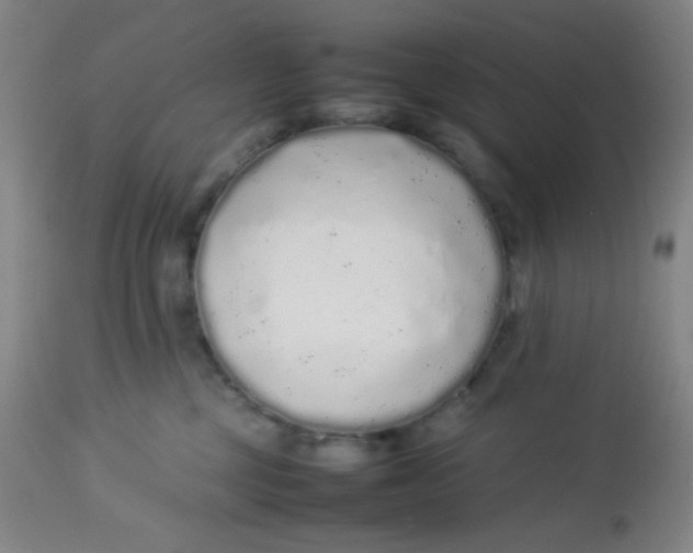 X0000113760377200910211215