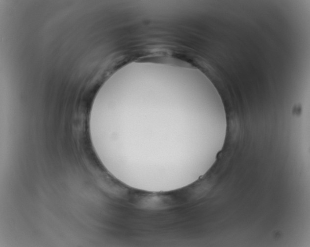 X0000113760379200910211215