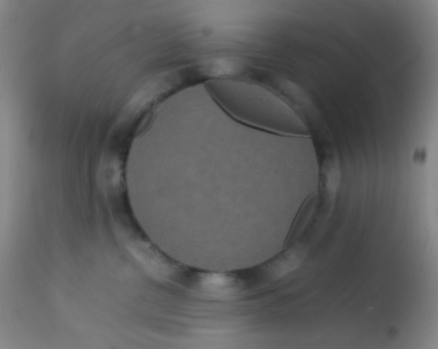 X0000113760380200910211215