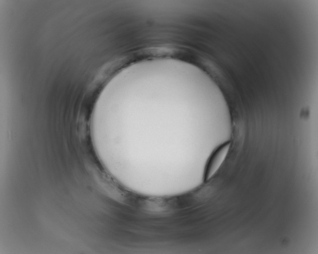 X0000113760381200910211215