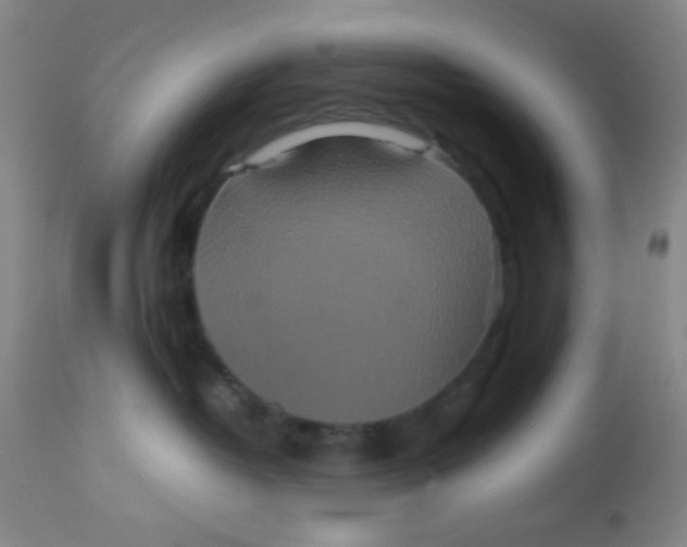 X0000113760382200910211215