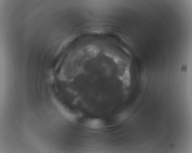 X0000113760383200910211215
