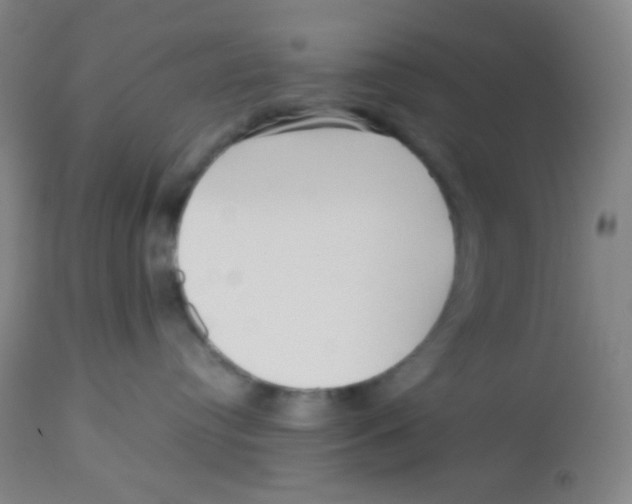 X0000113760384200910211215