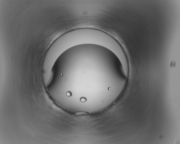 X0000113760385200910211214
