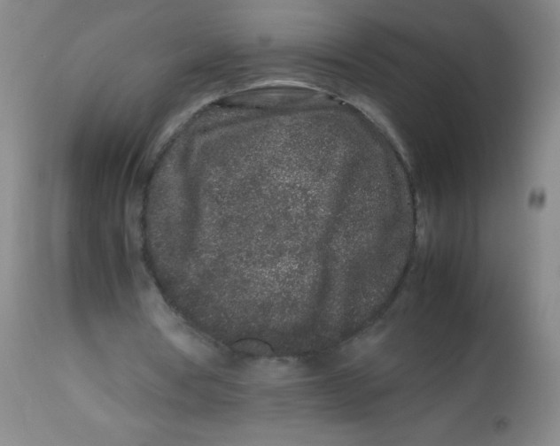 X0000113760386200910211214