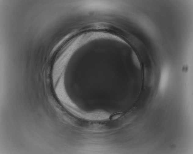 X0000113760387200910211214