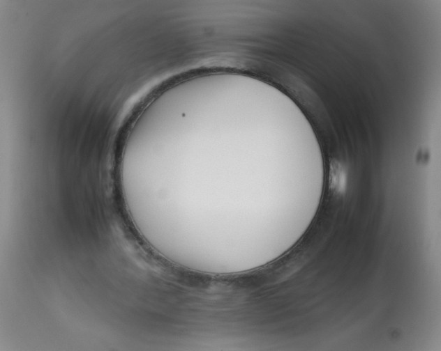 X0000113760388200910211214