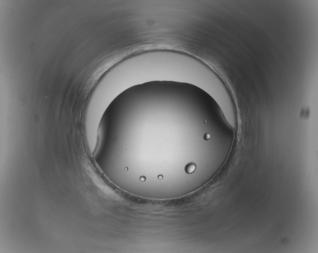 X0000113760389200910211214
