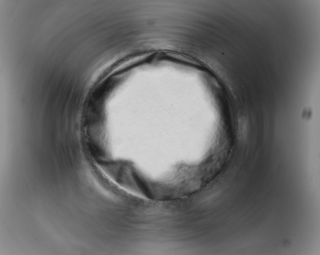 X0000113760390200910211214