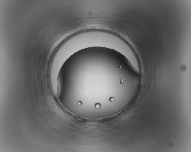 X0000113760391200910211214