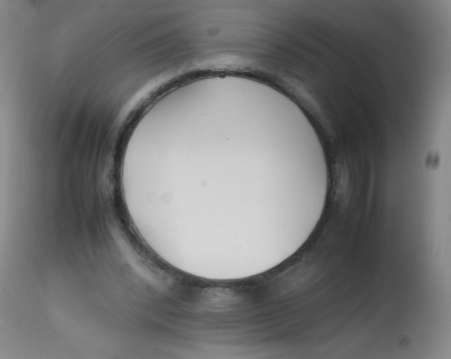 X0000113760392200910211214