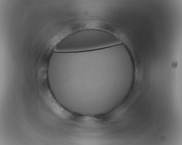 X0000113760393200910211214