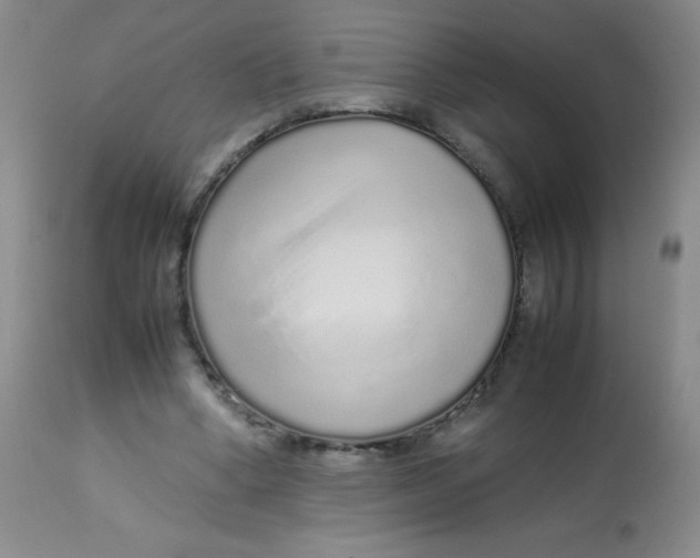 X0000113760394200910211214