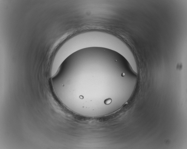 X0000113760395200910211214